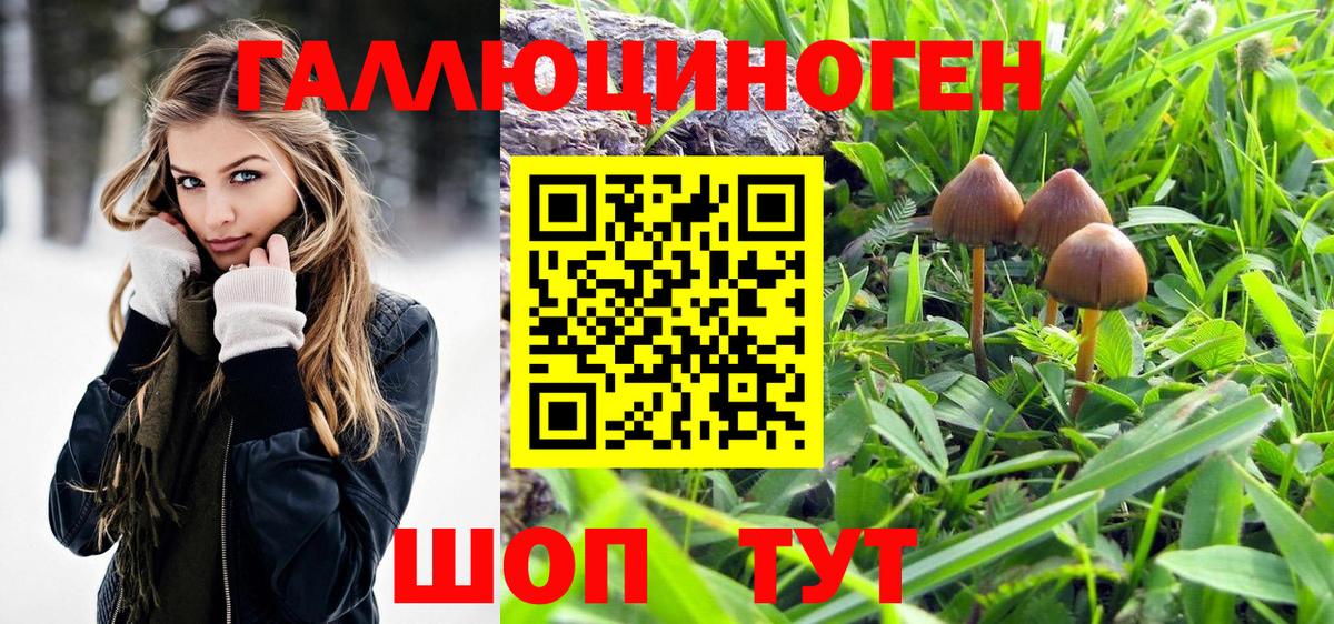 Полевской  Галлюциногенные грибы Psilocybe  Вход с VPN  наркота  Галлюциногенные грибы мухоморы 